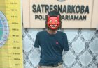 Residivis Narkoba Ditangkap Lagi di Pariaman, Polisi Sita Ganja dan Alat Hisap